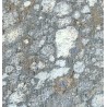 Meteorito NWA-7454