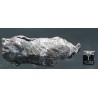 Meteorito Sikhote Alin Rusia