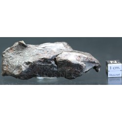 Meteorito Sikhote Alin Rusia