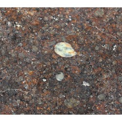 Meteorito NWA