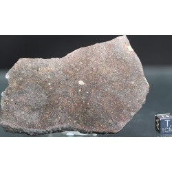Meteorito NWA