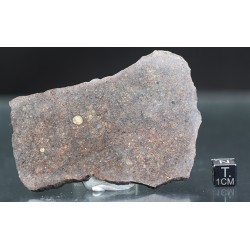 Meteorito NWA