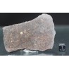 Meteorito NWA