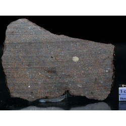 Meteorito NWA