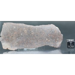 Meteorito NWA
