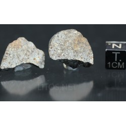 Meteorito NWA 869