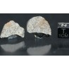 Meteorito NWA 869