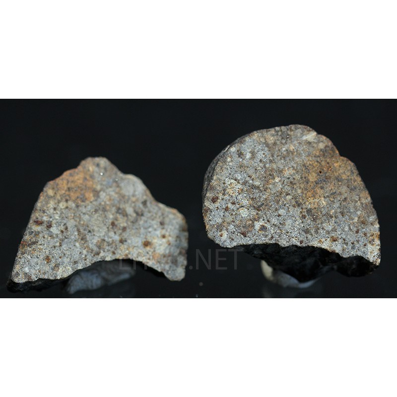 Meteorito NWA 869 Meteorito NWA 869