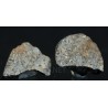 Meteorito NWA 869
