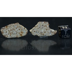 Meteorito NWA 869