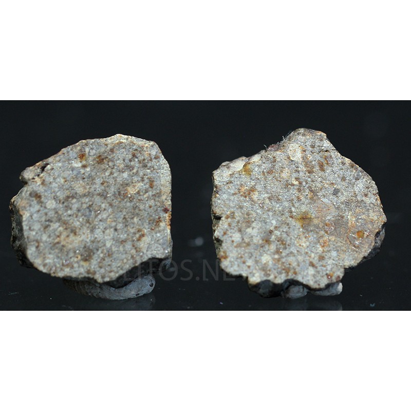 Meteorito NWA 869 Meteorito NWA 869