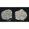 Meteorito NWA 869