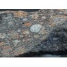 Meteorito condrita carbonácea