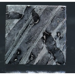 Meteorito Seymchan
