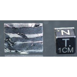 Meteorito Seymchan