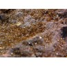 Jarosita mineral de españa  - Litos