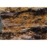 Jarosita mineral de españa  - Litos