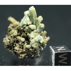 Plumbogummita