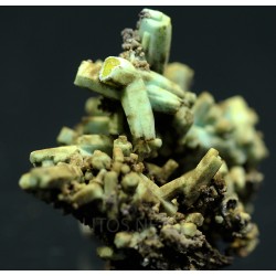 Plumbogummita
