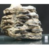 Molar de mamut
