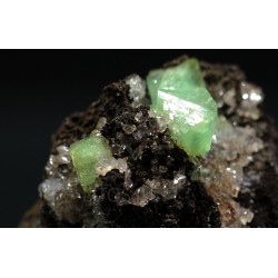 Cuproadamina