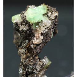 Cuproadamina