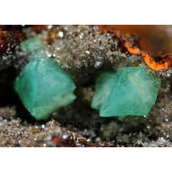 Cuproadamina