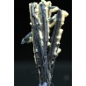 Antimonita (estibina)