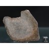 Meteorito NWA