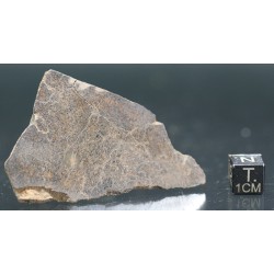 Meteorito condrita NWA