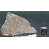 Meteorito condrita NWA