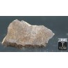 Meteorito condrita NWA