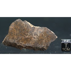 Meteorito condrita NWA