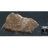Meteorito condrita NWA