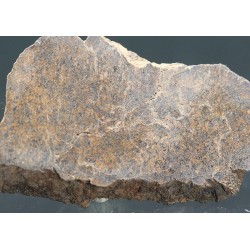 Meteorito condrita NWA