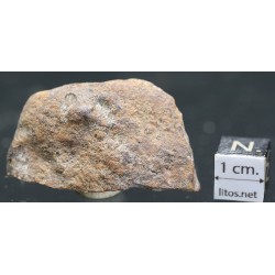 Meteorito condrita NWA