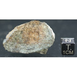 Meteorito condrita NWA