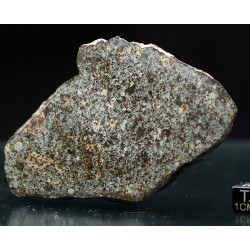 Meteorito NWA 869