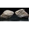 Meteorito NWA 869