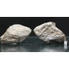 Meteorito NWA 869