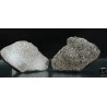 Meteorito NWA 869