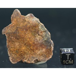 Meteorito condrita NWA