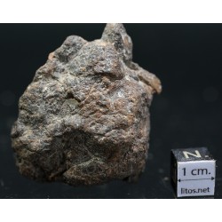 Meteorito condrita NWA