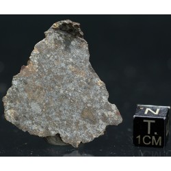 Meteorito NWA 869