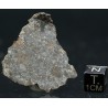 Meteorito NWA 869
