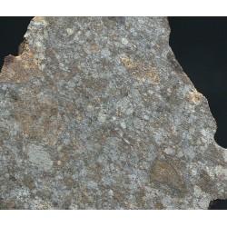 Meteorito NWA 869