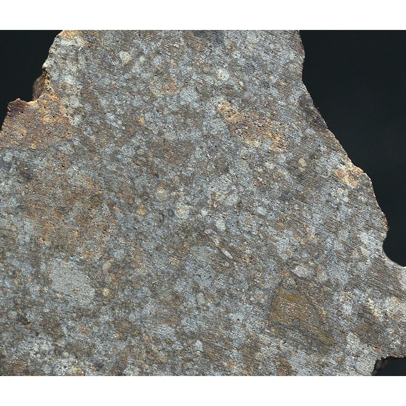 Meteorito NWA 869 Meteorito NWA 869