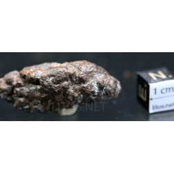 Meteorito condrita NWA