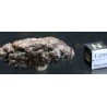 Meteorito condrita NWA