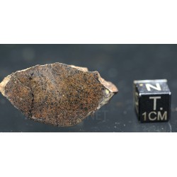 Meteorito condrita NWA